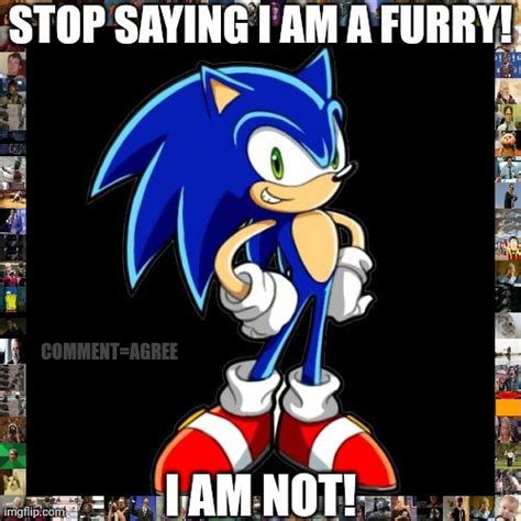 sonic is not a furry